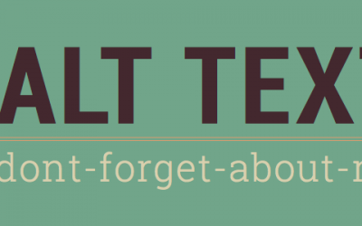 The importance of the alt tag for your website