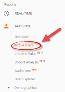 Google Analytics Audience | Local First SEO | Carrollton TX