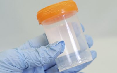 Drug Screening / Testing
