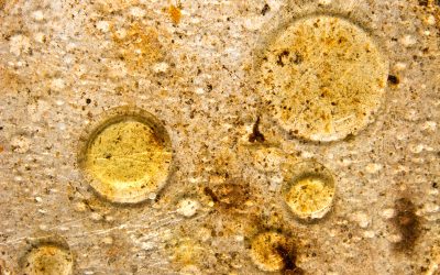 3 Good Reasons to Consider Grease and Oil Recycling