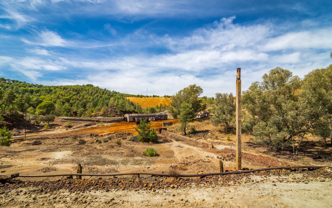 Best Site preparation and Land clearing company is……