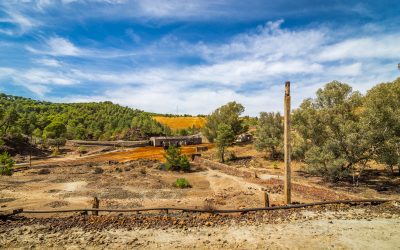 Best Site preparation and Land clearing company is……