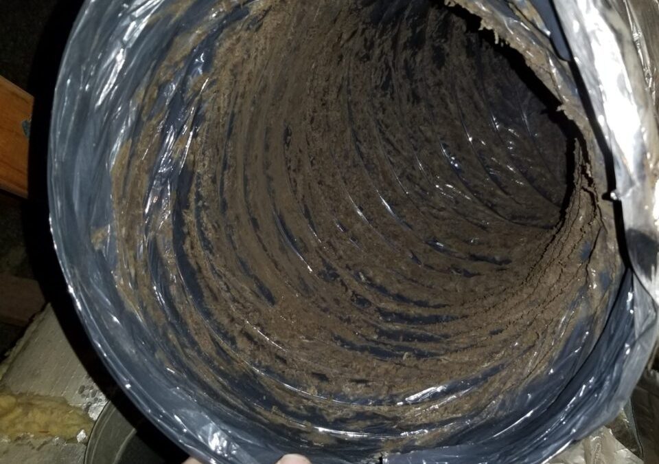 Professional Air Duct Cleaning Near Me: Why You Need It